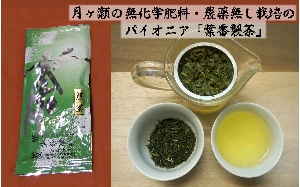 煎茶100gと水色(ｽｲｼｮｸ)､茶葉の外観