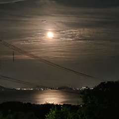 20260505_231626.jpg