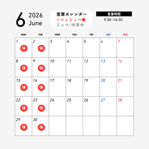 ラペッシュスケジュール26年6月.png