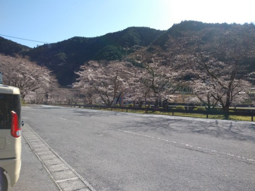 IMG01468.jpg