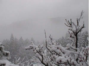 川上村高原は標高約600mに位置するため、冬はまさに極寒です!!