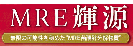 MRE輝源（ニューザイム輝源）