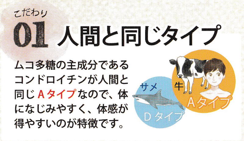 バイオコーブン 250粒（ムコ多糖タンパク含有食品） - イカワ薬品【漢方薬・サプリメント】の販売