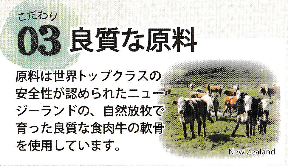 バイオコーブン 250粒（ムコ多糖タンパク含有食品） - イカワ薬品【漢方薬・サプリメント】の販売