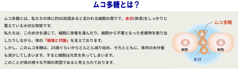 ムコ多糖とは、私たちの体に約60兆個あると言われる細胞の周りで、水分(体液)をしっかりと蓄えている大切な物質です。 私たちは、この水分を通じて、細胞に栄養を運んだり、細胞から不要となった老廃物を取り出したりしながら、体の「循環と代謝」を支えております。 しかし、このムコ多糖は、25歳ぐらいからどんどん減り始め、それとともに、体内の水分量も減少してしまいます。すると細胞は元気を失ってしまいます。 このことが体の様々な不調の原因であると考えられております。