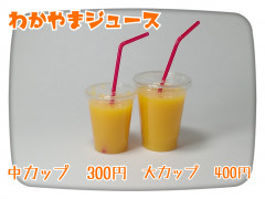わかやまジュース
