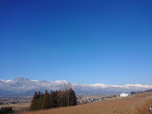 中之郷四神社　祈年祭