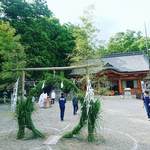 池田茅の輪.jpg