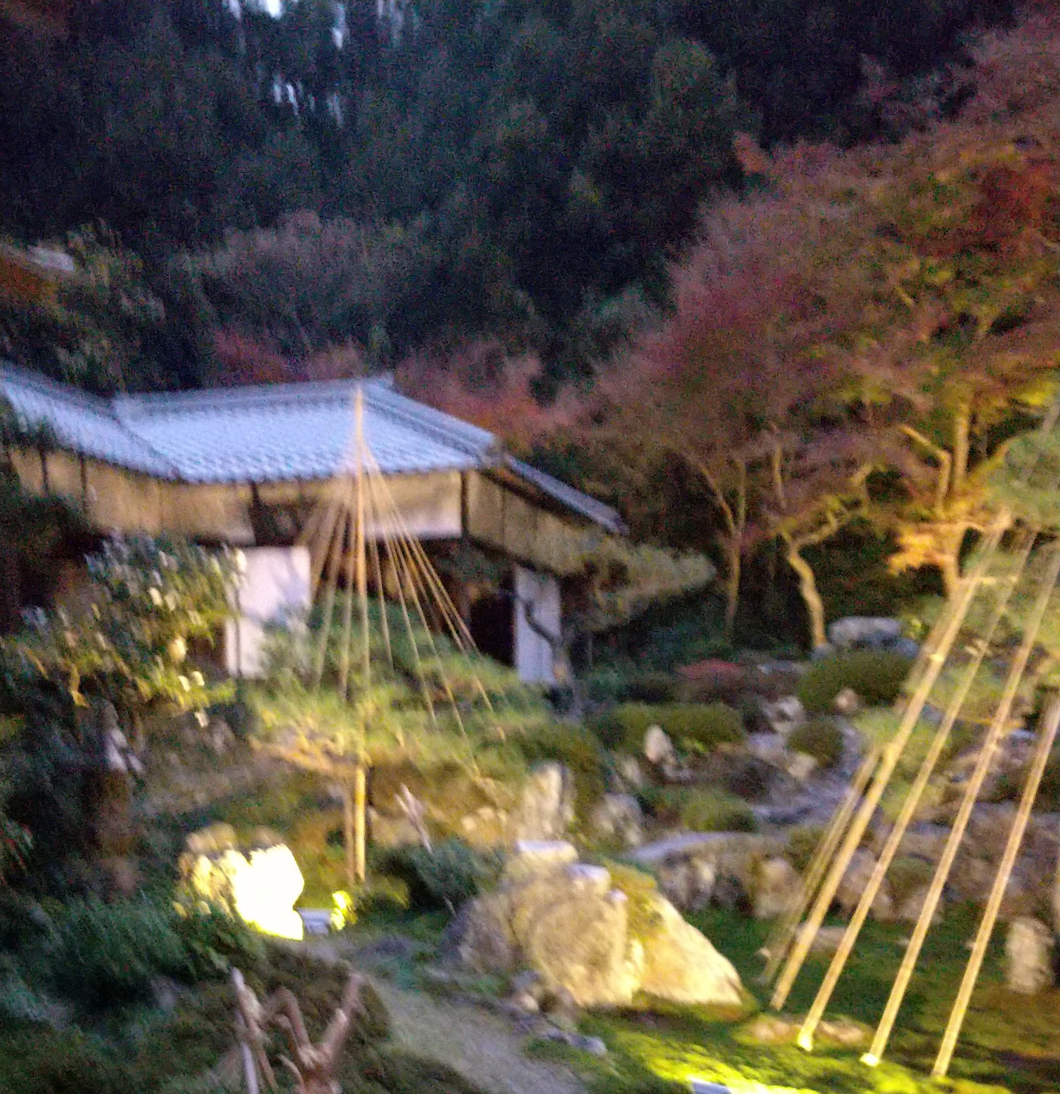 青岸寺　庭園
