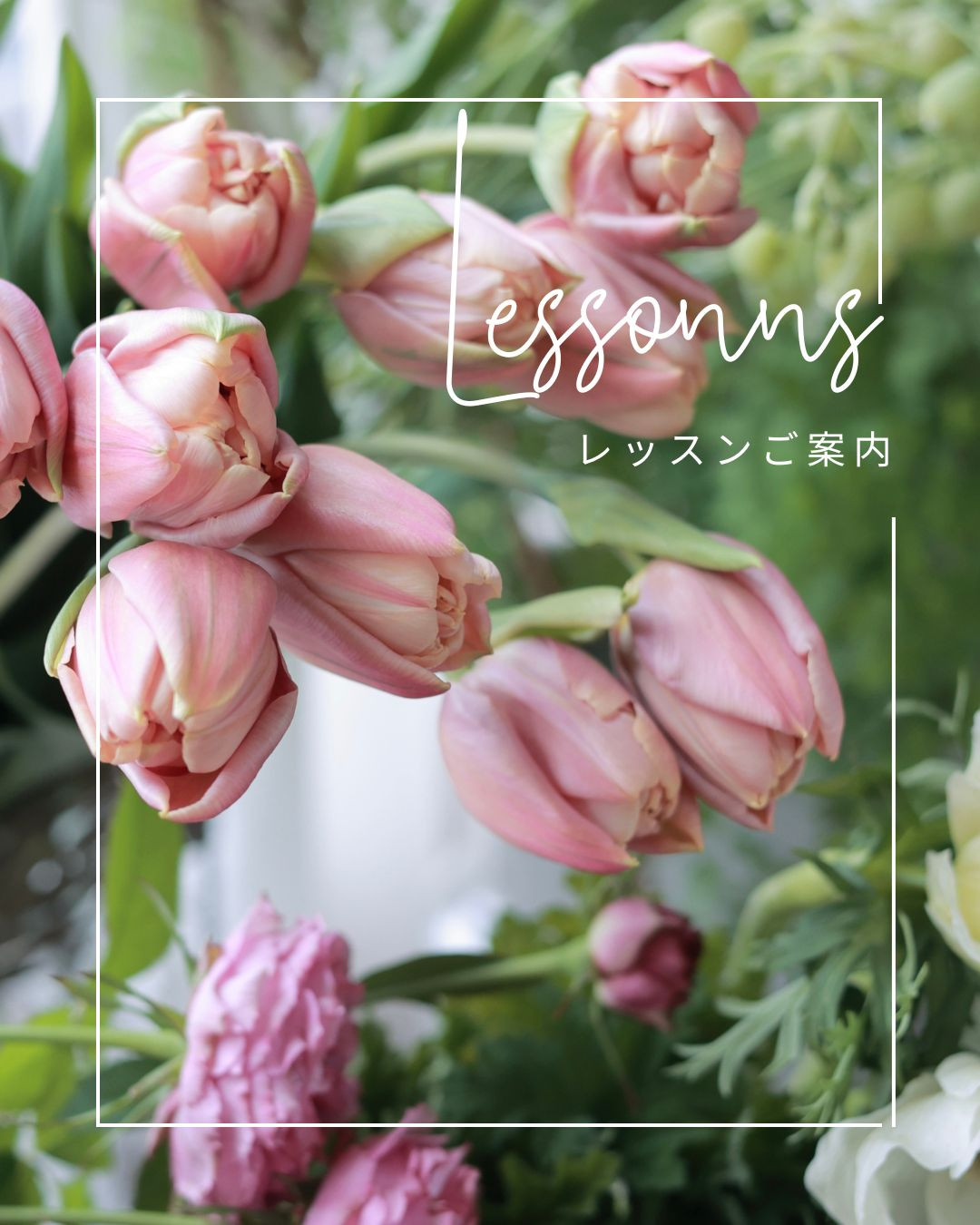 レッスンのご案内