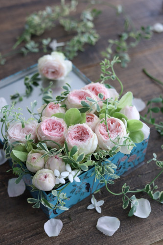 レッスンゆっくり再開します