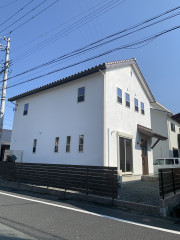 IMG_9587.jpeg