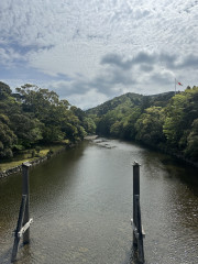 IMG_5006.jpeg