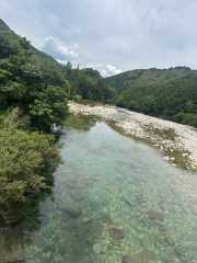 IMG_5540.jpeg