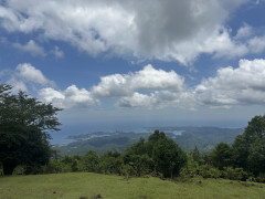 IMG_5575.jpeg