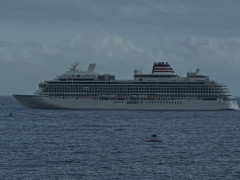 S__9502772_0.jpg