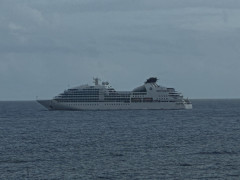 S__9502773_0.jpg