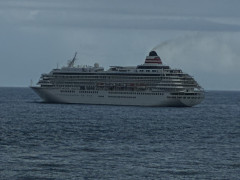 S__9502774_0.jpg