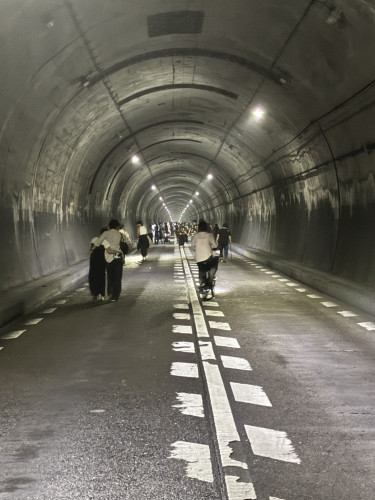 S__9502768_0.jpg