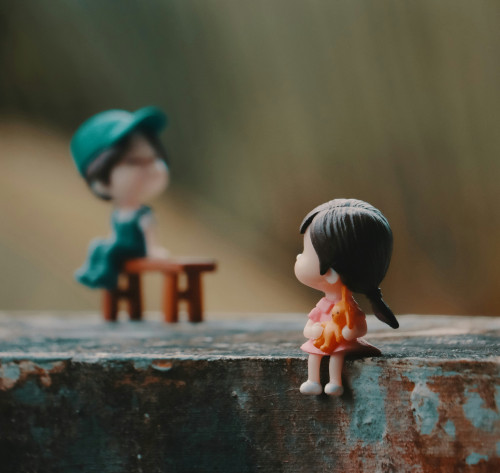 niranjan-_-photographs-TfaWLuBoU70-unsplash.jpg