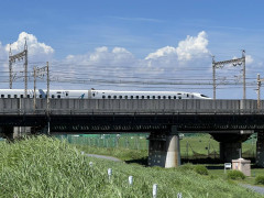 1755249172904.jpg
