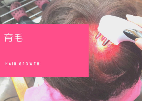 育毛