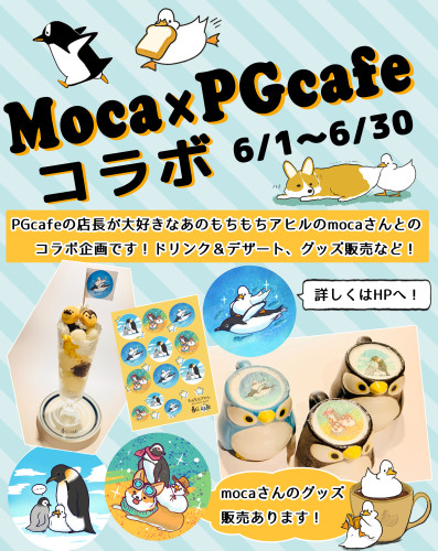 宣伝1.jpg