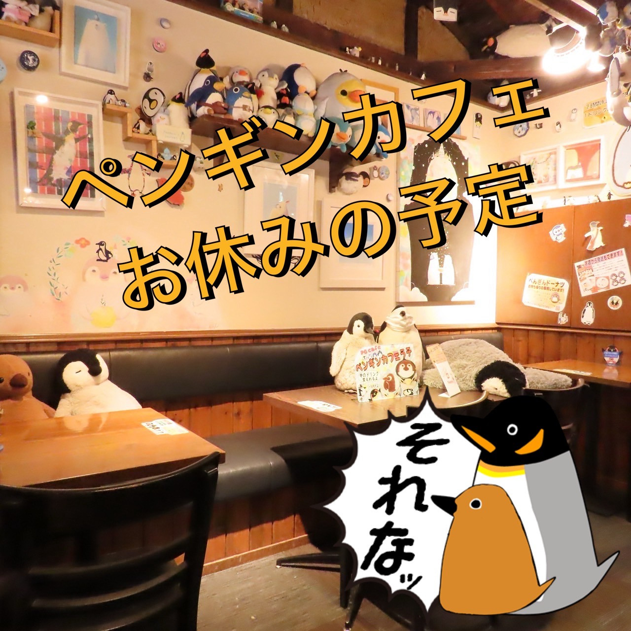 ６月のお休み予定