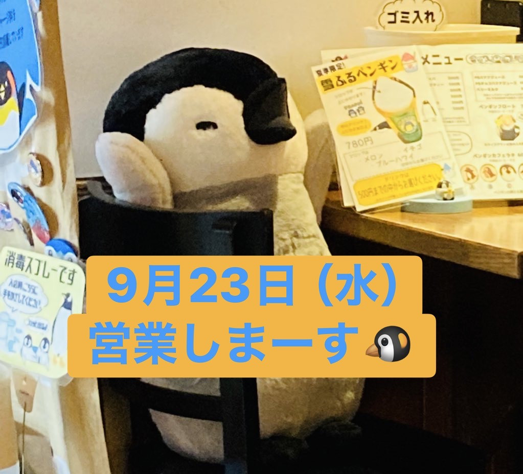 IMG_9507.jpeg