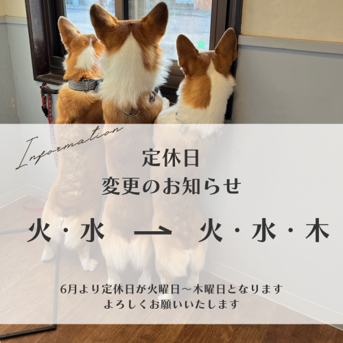 2DD465A4-EE8E-4675-B6C4-FE1D3CF9306A.png