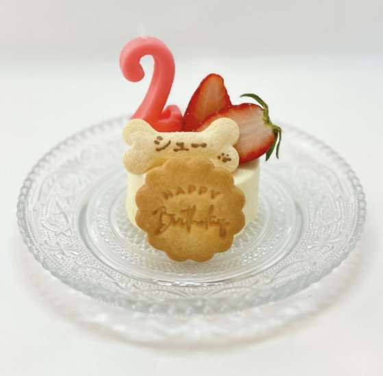 定番ハーフケーキ
