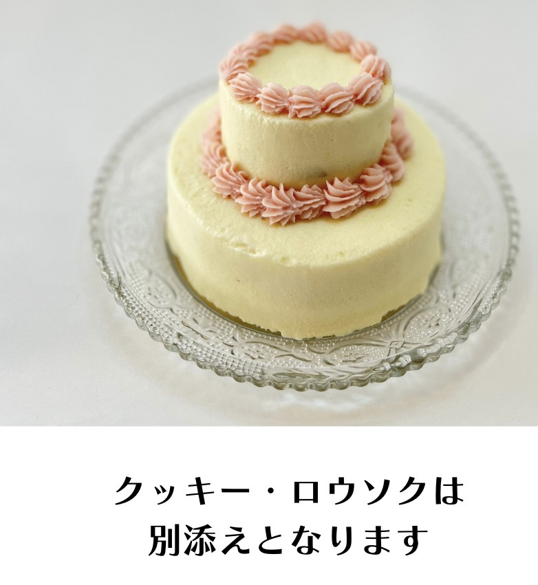 アレンジケーキB  冷凍ケーキ