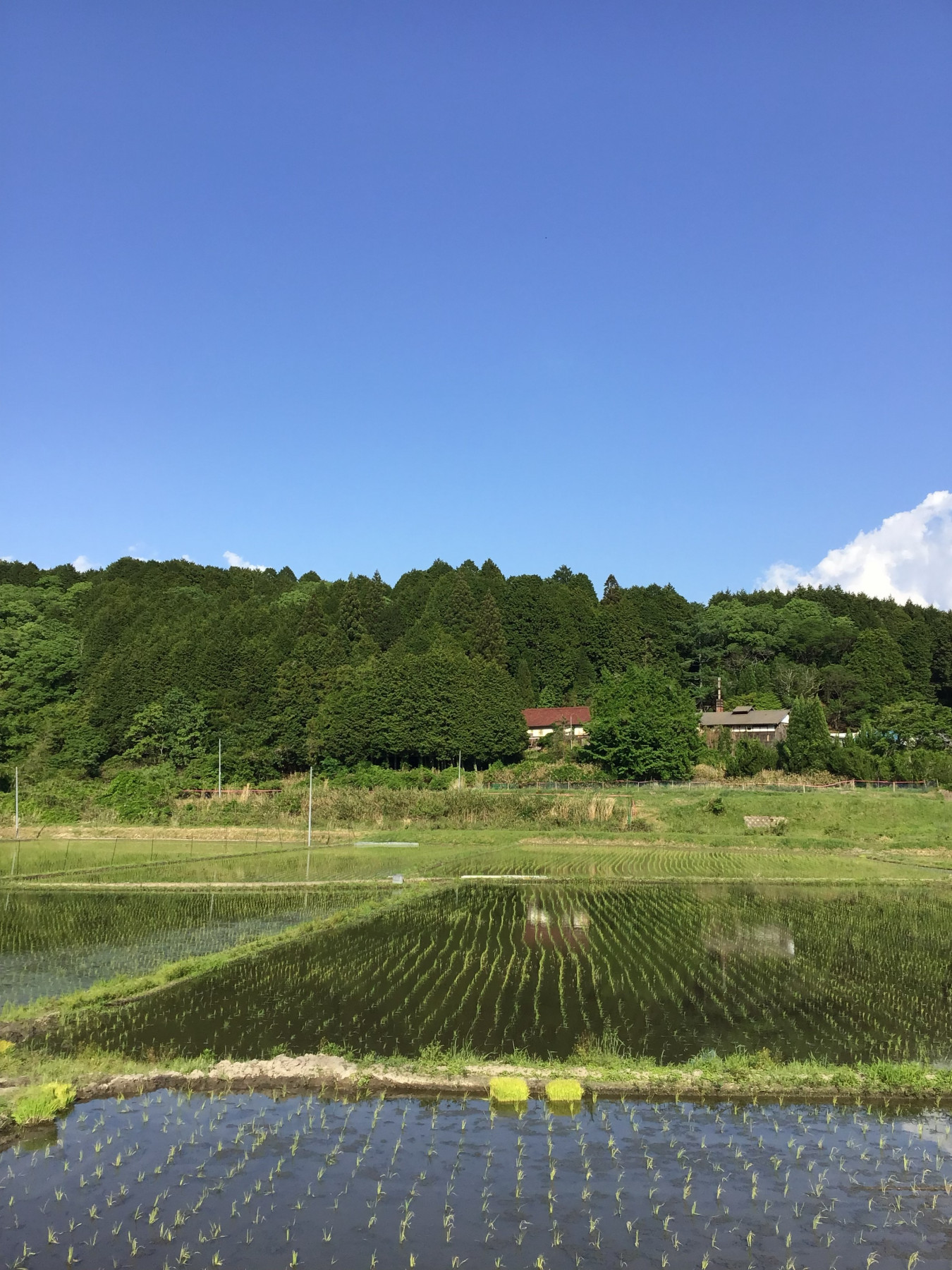 奈良の地酒 大和の彩り
（多山酒造合名会社　小売部）
