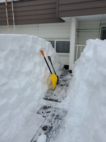 20220305_071536[1142].jpg