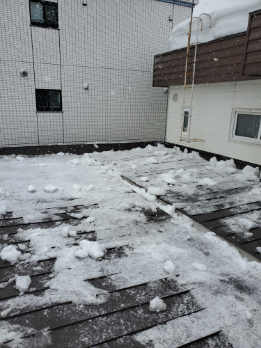 20220305_135215[1146].jpg