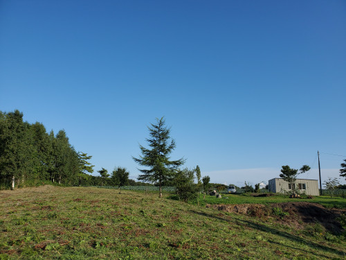 20210903_162247[1162].jpg