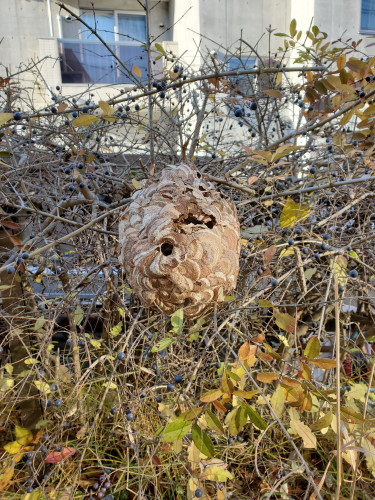 20211115_084411[1152].jpg
