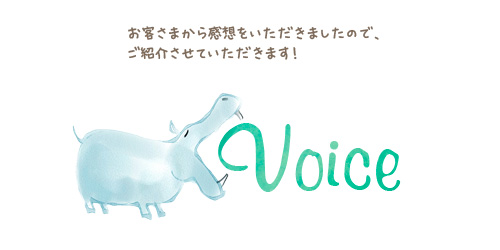 voice.jpg