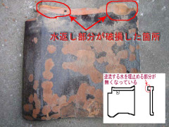 fuguai2.jpg