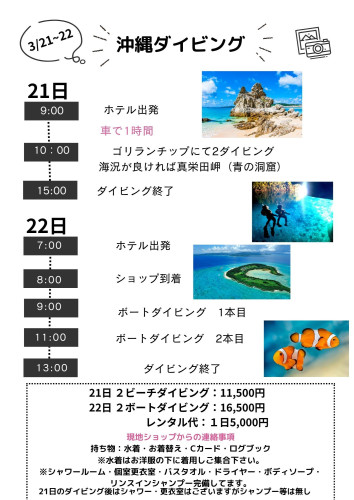 白 黒 写真 おしゃれ 旅行 観光地 日帰りモデルコース フライヤー チラシ A4.jpg