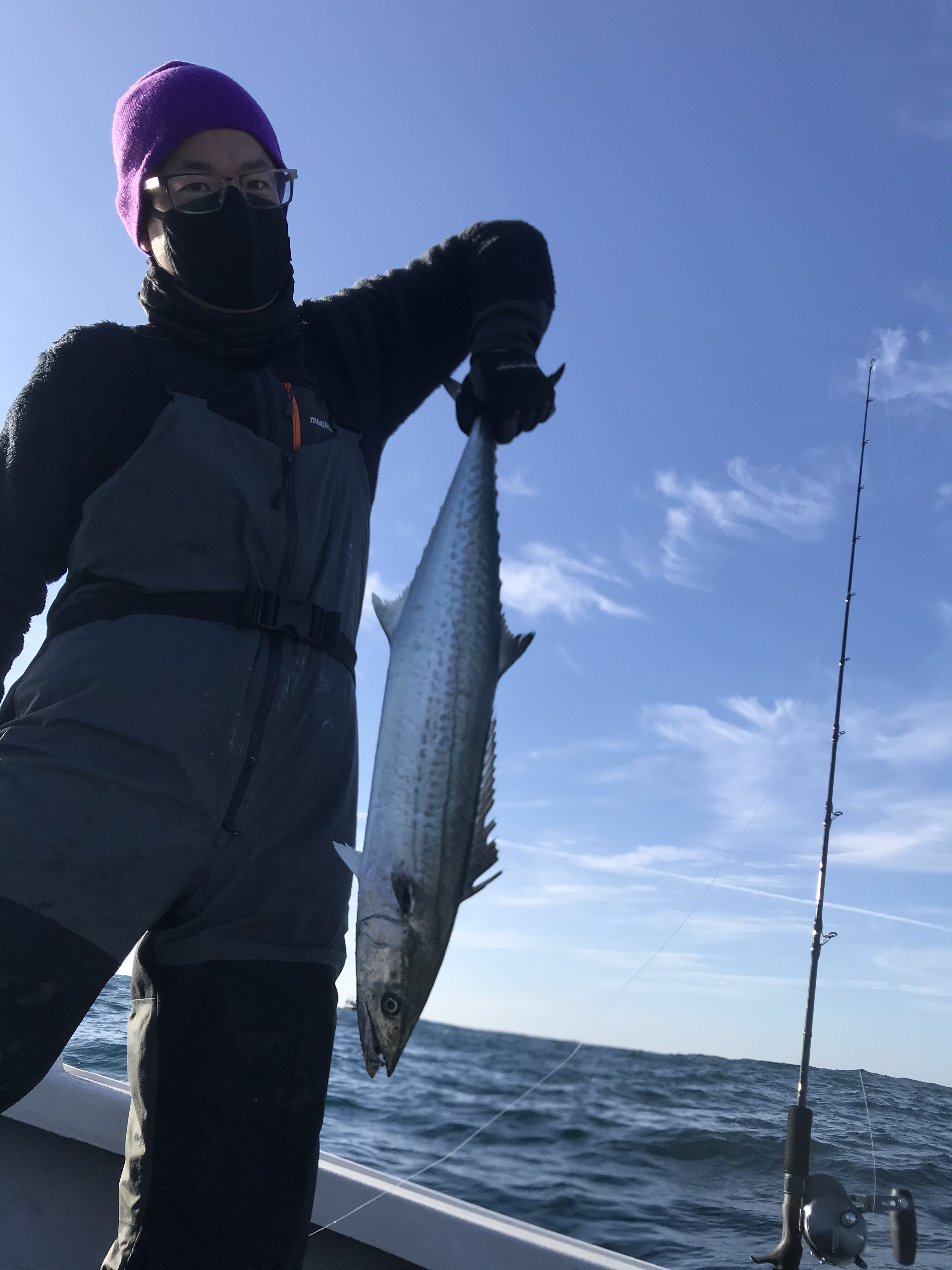 新潟の釣りは 釣り船 遊漁船シートップがご案内致します