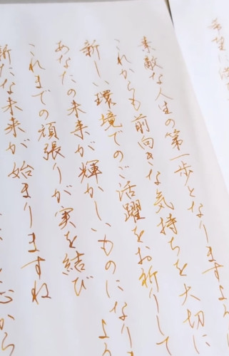 スクリーンショット_13-8-2025_144857_www.instagram.com.jpeg
