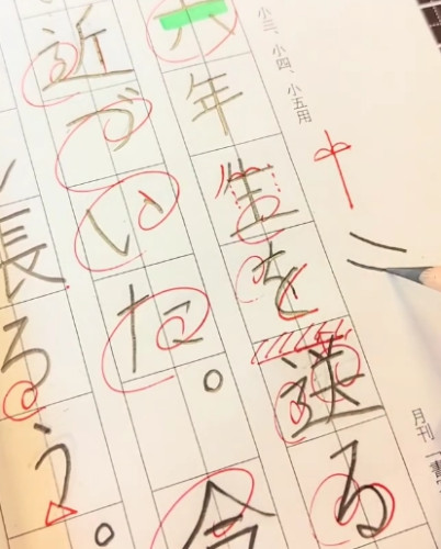 スクリーンショット_13-8-2025_16525_www.instagram.com.jpeg