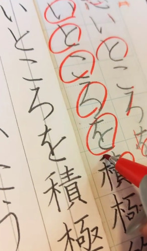 スクリーンショット_13-8-2025_172139_www.instagram.com.jpeg