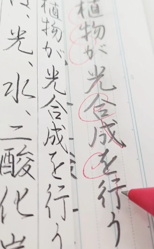 スクリーンショット_13-8-2025_172337_www.instagram.com.jpeg