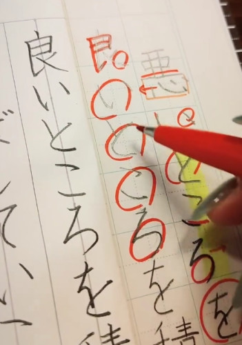 スクリーンショット_13-8-2025_172653_www.instagram.com.jpeg