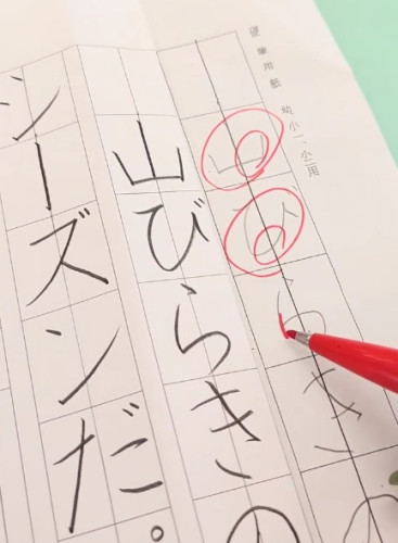 スクリーンショット_13-8-2025_174244_www.instagram.com.jpeg