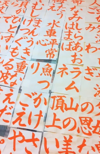 スクリーンショット_13-8-2025_174634_www.instagram.com.jpeg