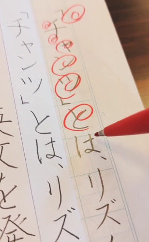 スクリーンショット_13-8-2025_174812_www.instagram.com.jpeg