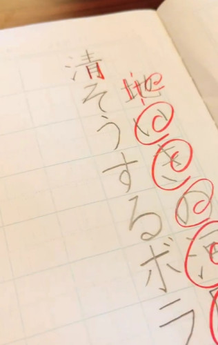 スクリーンショット_13-8-2025_175258_www.instagram.com.jpeg